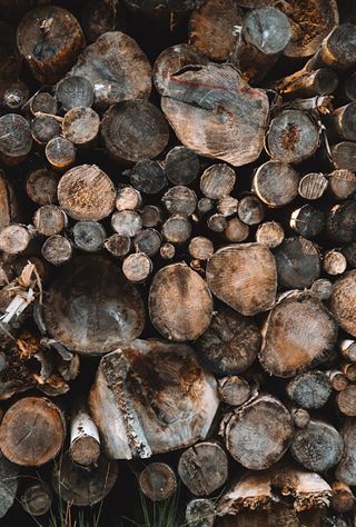 Den bedste guide til briketter til brændeovn