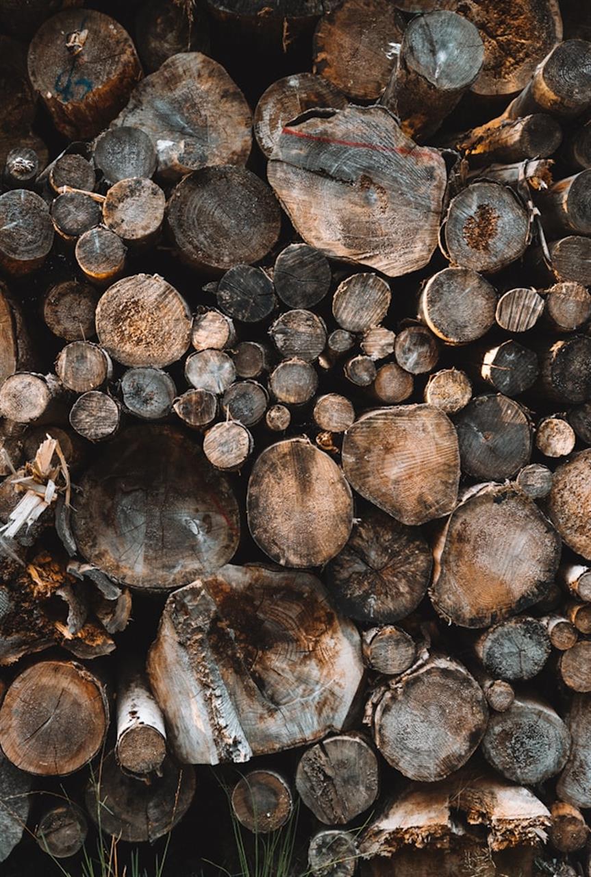 Den bedste guide til briketter til brændeovn